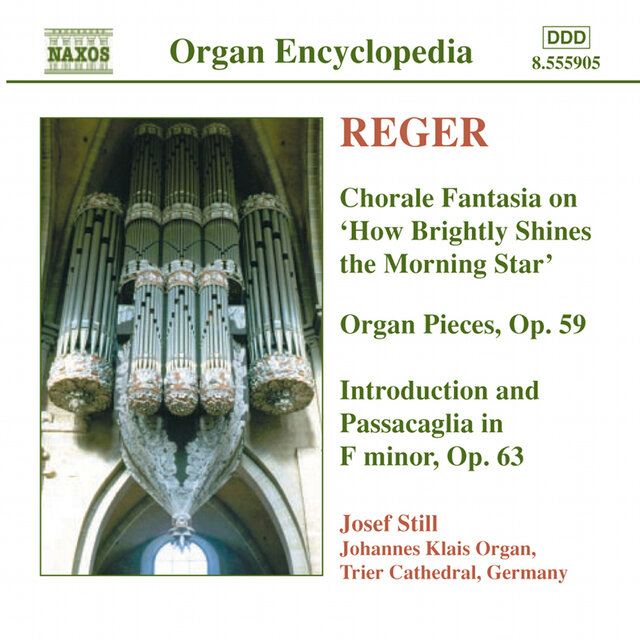 Reger, M.: Organ Works, Vol.  4