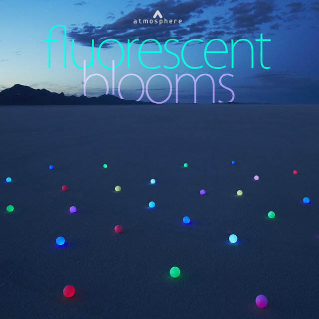 Fluorescent Blooms