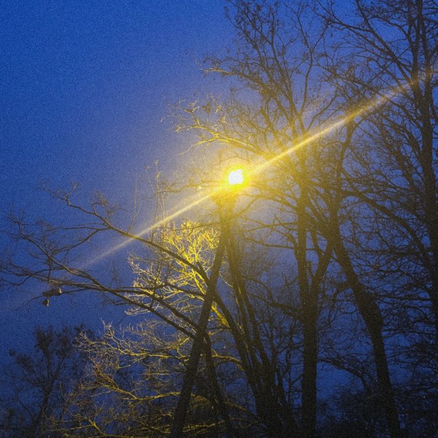 Night Stroll