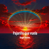 Pajarillo que vuela