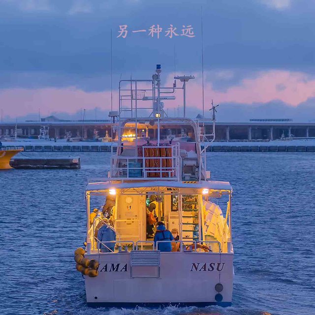 另一种永远