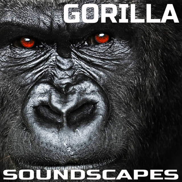 Gorilla Soundscapes