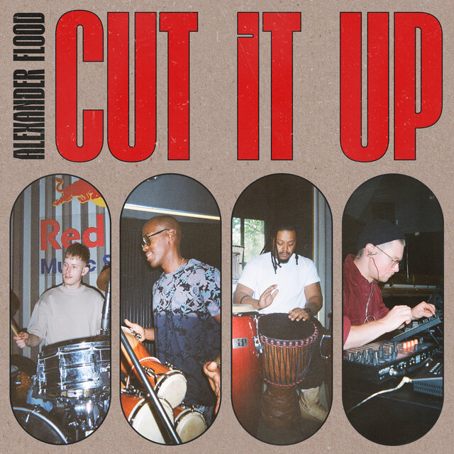 Cover art for album Cut It Up by Alexander Flood