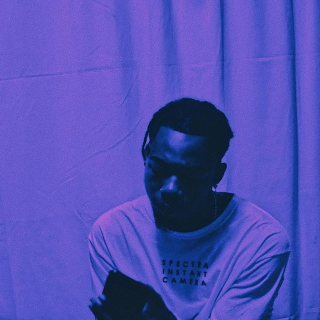 Section 8 Freestyle