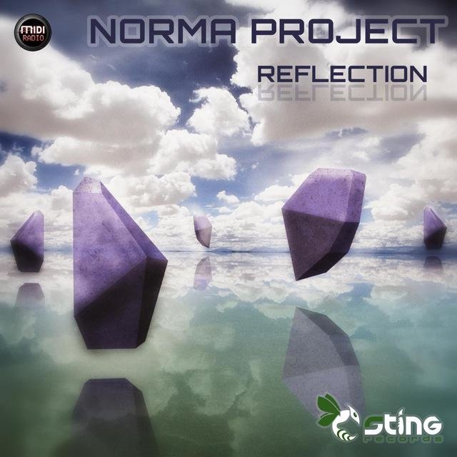 Reflection