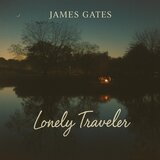 Lonely Traveler
