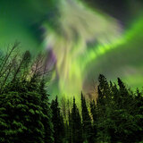 Ethereal Nocturne