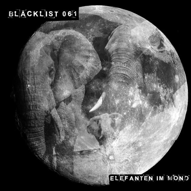 Elefanten im Mond