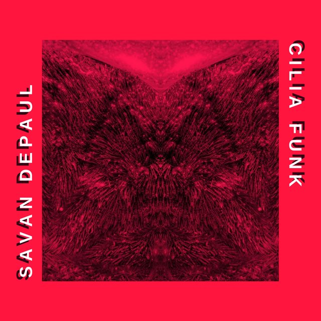 Cilia Funk