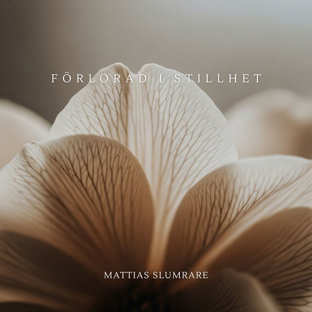 Förlorad i Stillhet
