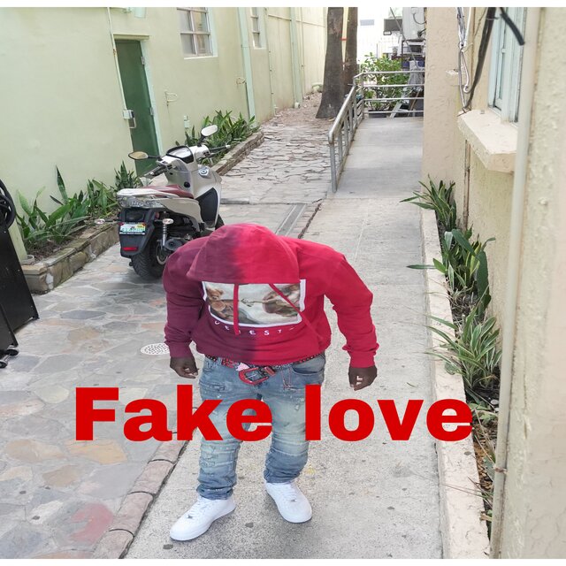 Fake Love