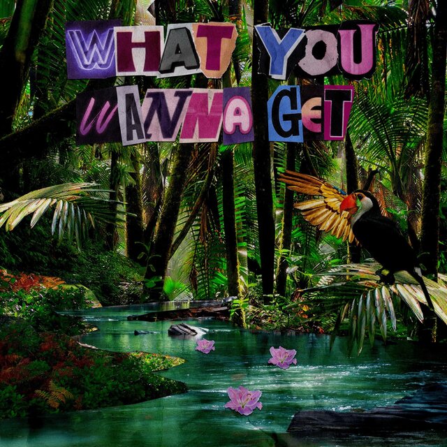 What You Wanna Get (Extended Mix)