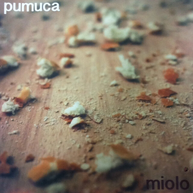 Miolo