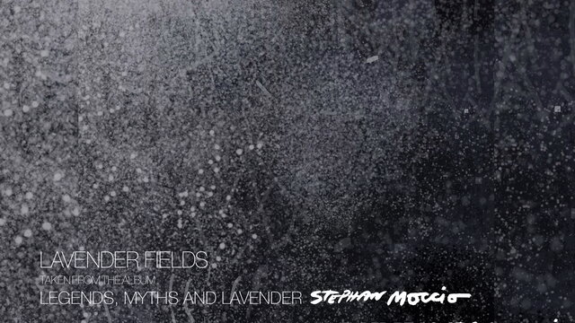 Lavender Fields