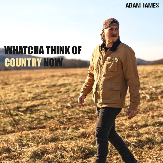 Whatcha Think Of Country Now
