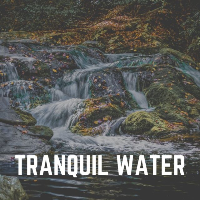 Tranquil Water