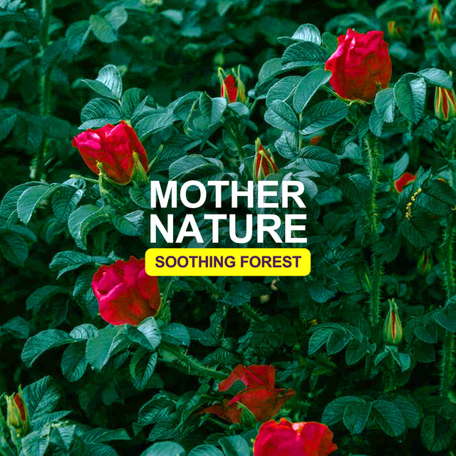 Mother Nature - Soothing Forest