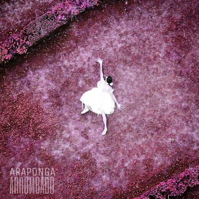 Arrombado