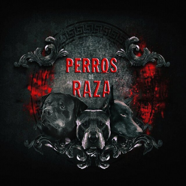 Perros de Raza