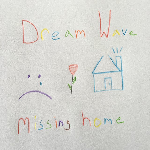 Missing Home
