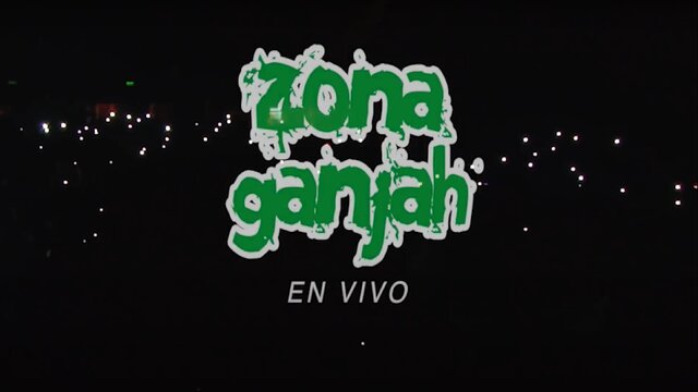 Por lo que obtuve - DVD 