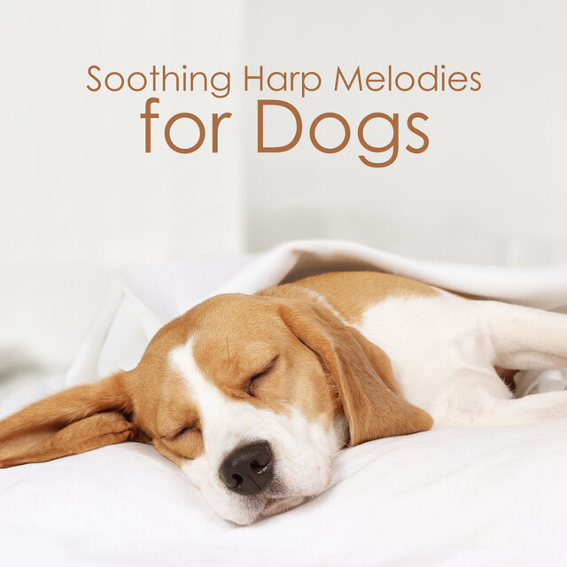 Soothing Harp Melodies for Dogs: Canine Sleep, Doggy Relaxation, Soft Serenades, Peaceful Zone