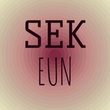 Sek Eun