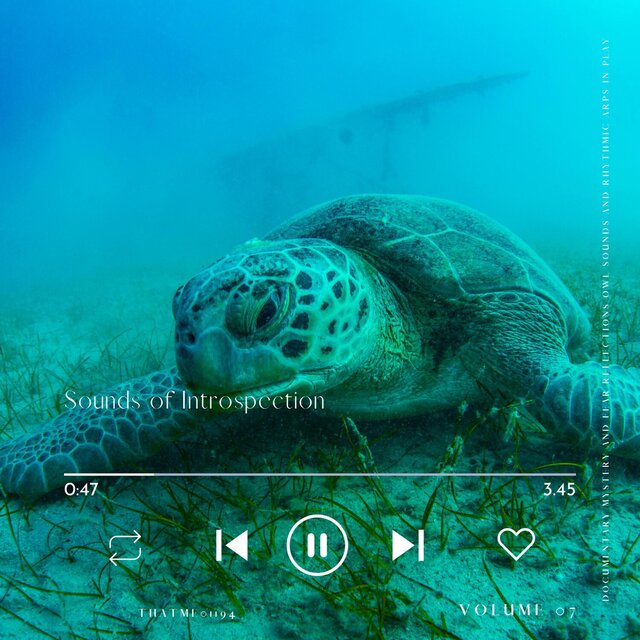 Sounds of Introspection - Documentary Mystery and Fear Reflections Owl Sounds and Rhythmic Arps in Play, Vol. 07