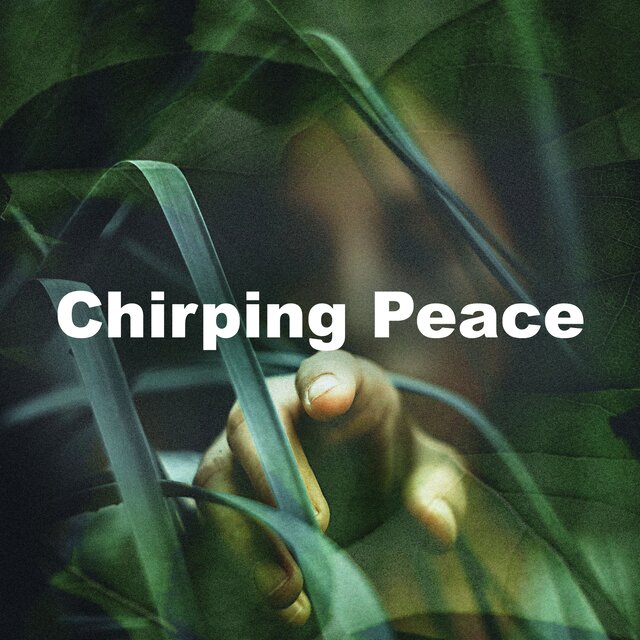 Chirping Peace