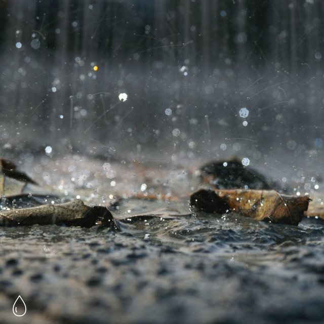 Audio Textures of Rain