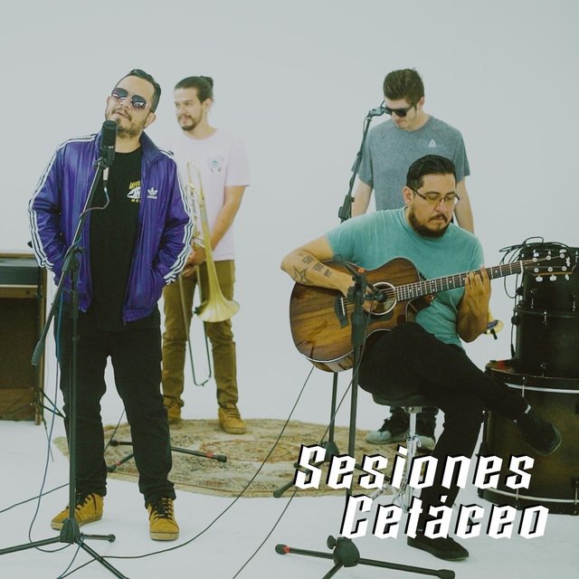 Sesiones Cetáceo: No Tiene la Vaca