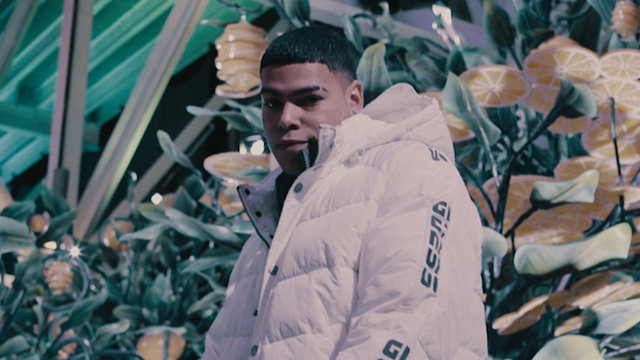 Why (Official Video)