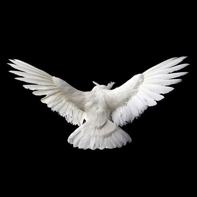 Free