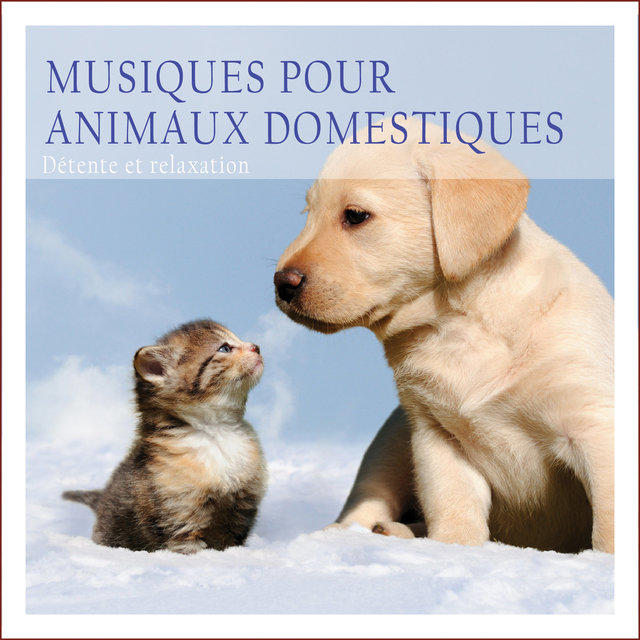 Musiques pour animaux domestiques: Détente et relaxation