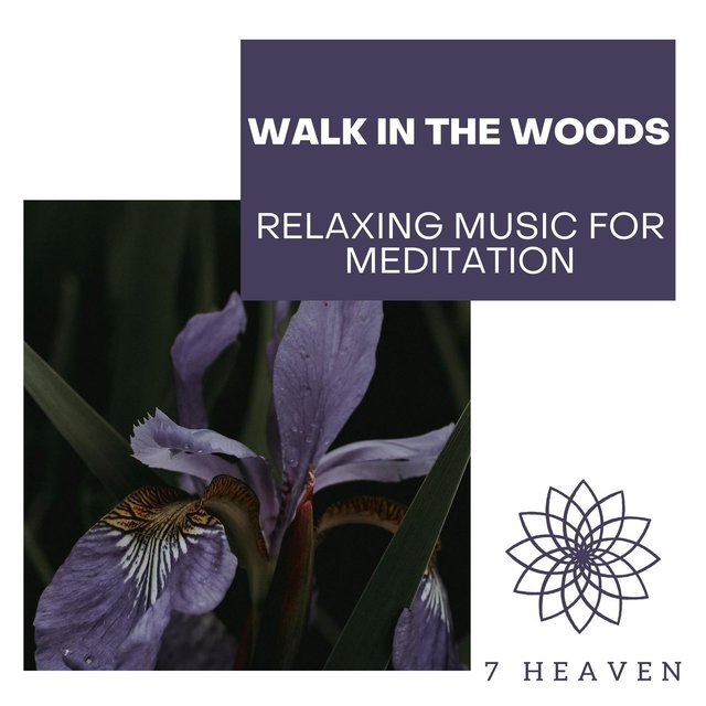 Walk In The Woods - Relaxing Music For Meditation
