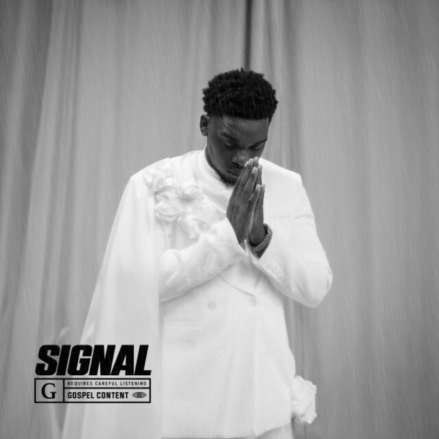 Signal
