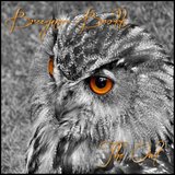 The Owl