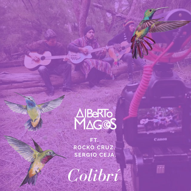 Colibri