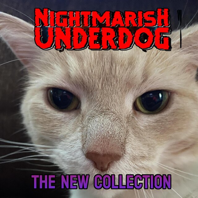 The New Collection