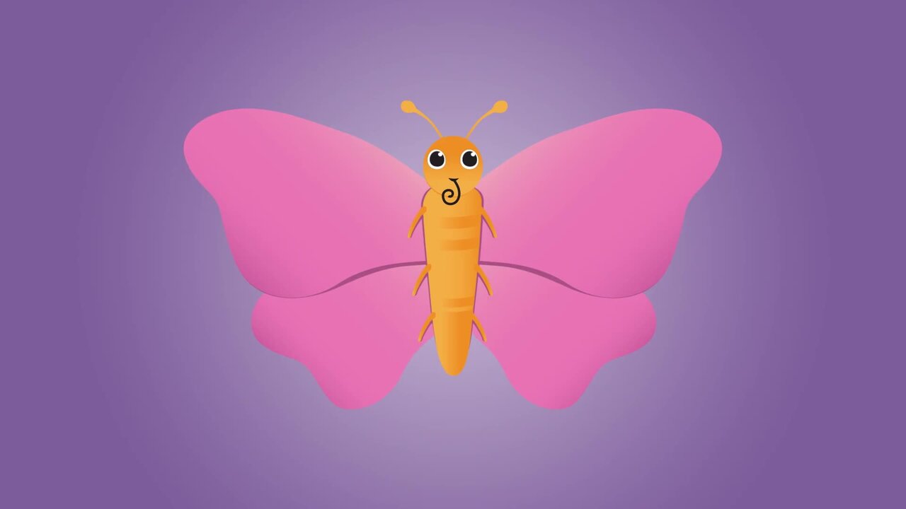 Butterflies Song