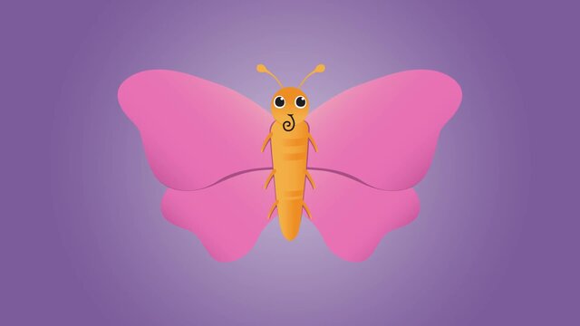 Butterflies Song