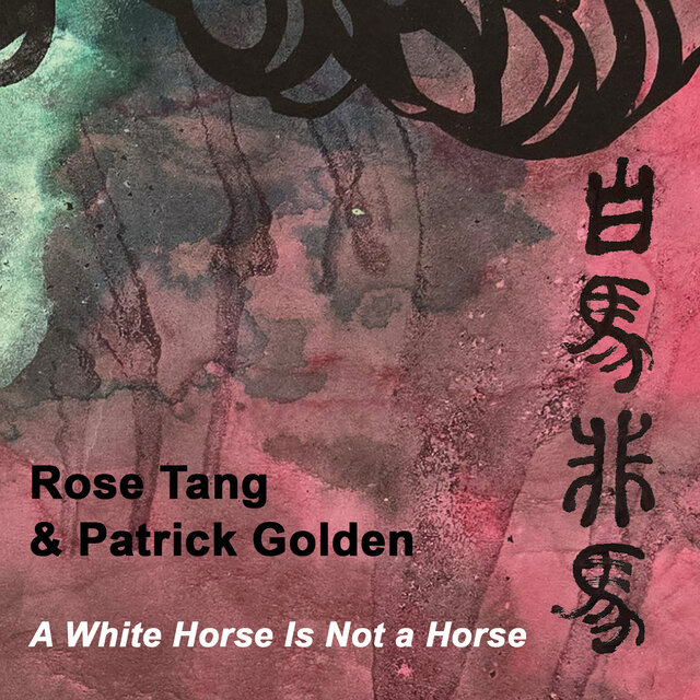 A White Horse Is Not a Horse
