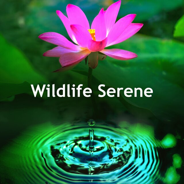 Wildlife Serene