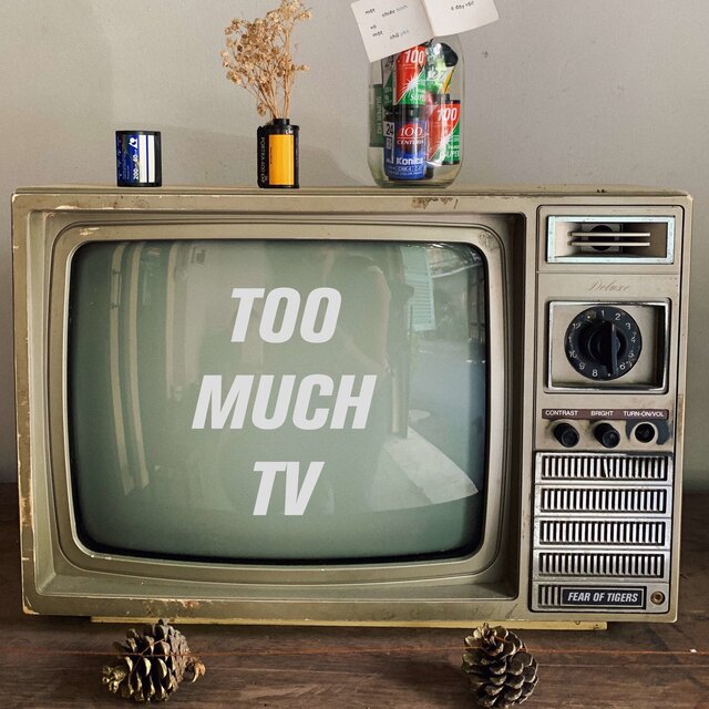 Too Much TV