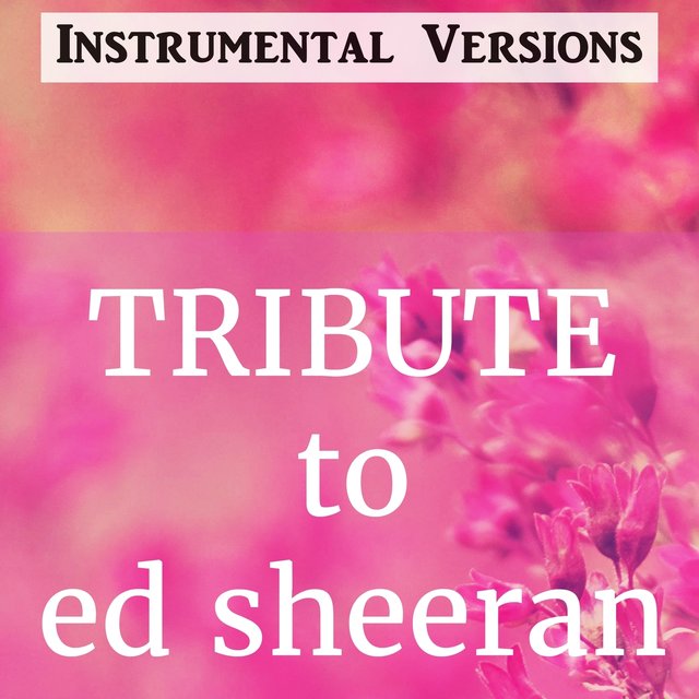 Tribute to Ed Sheeran