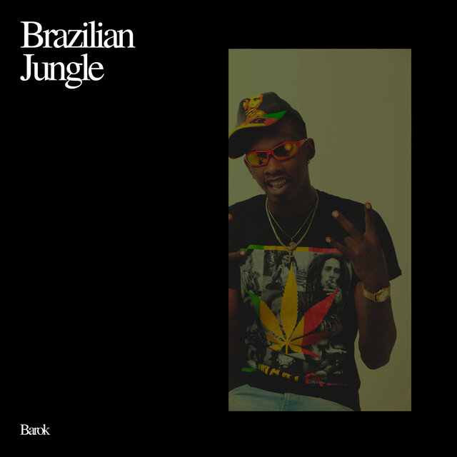 Brazilian Jungle