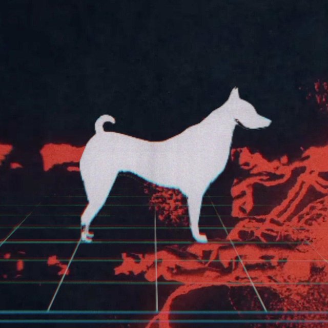 Laika