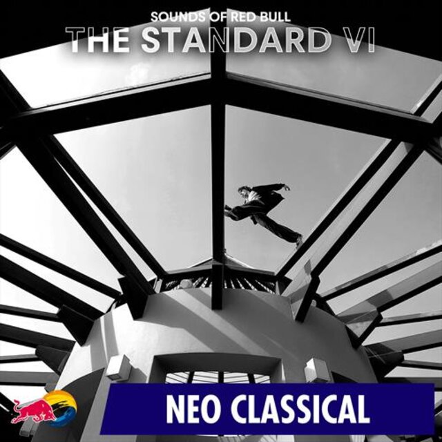 The Standard VI
