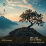 Perpetual Reverberation (Serious Dancers Remix)