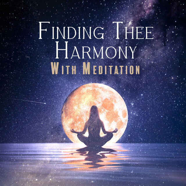 Finding Thee Harmony With Meditation